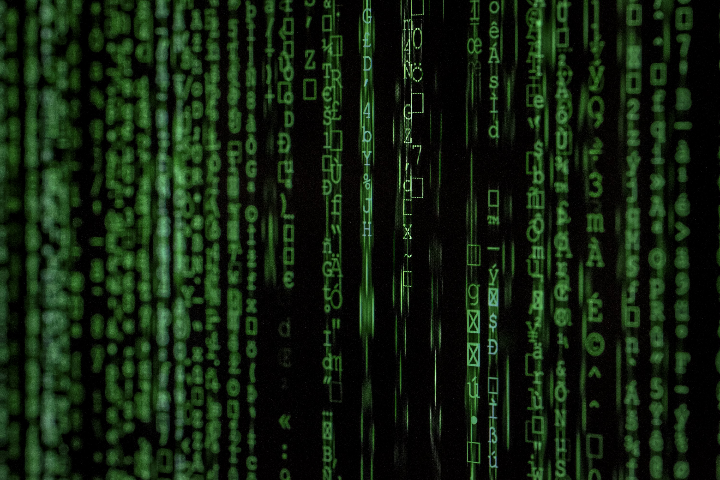Software data displayed in a technical environment